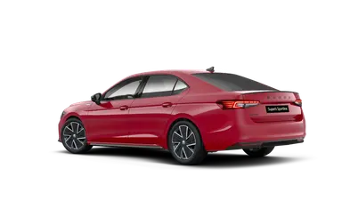 Superb Sportline – Zezadu