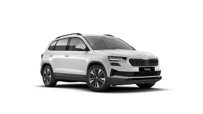 Karoq 130 let