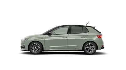 Fabia Monte Carlo