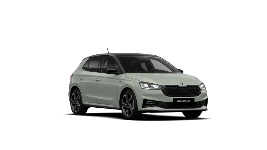 Fabia Monte Carlo