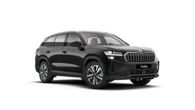 Kodiaq Exclusive Selection