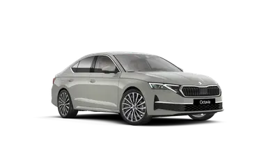 Octavia Exclusive Selection