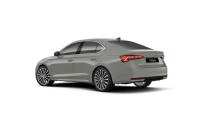 Octavia Exclusive Selection