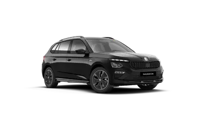 Kamiq Monte Carlo