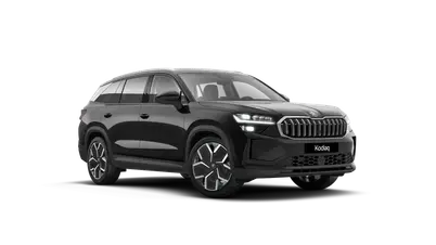 Kodiaq Exclusive Selection