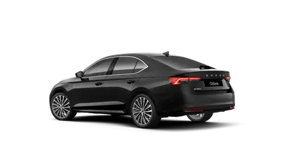 Octavia Exclusive Selection