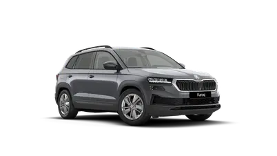 Karoq 130 let