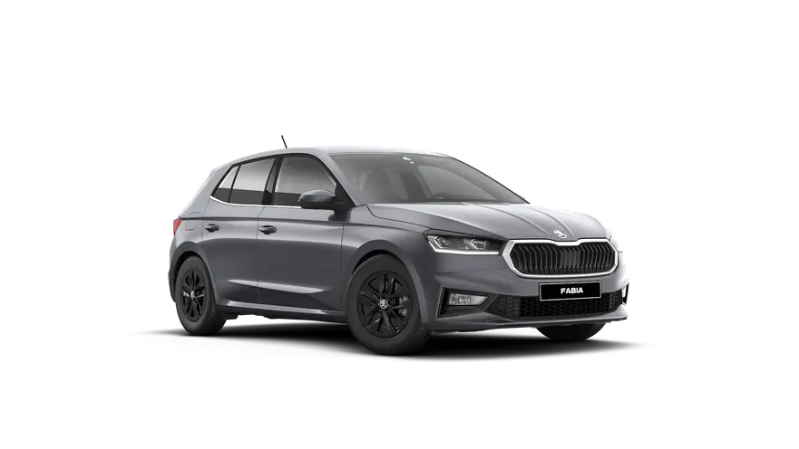 Fabia Style