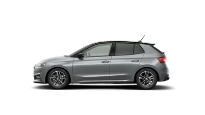 Fabia Monte Carlo