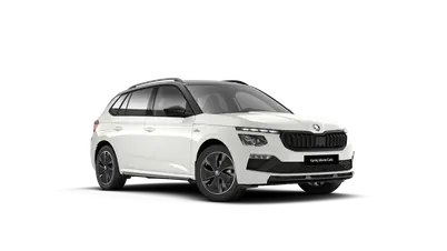 Kamiq Monte Carlo