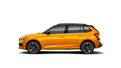 Kamiq Monte Carlo