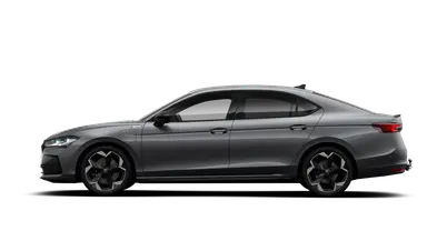 Superb Sportline