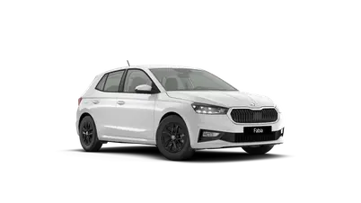 Fabia 130 let