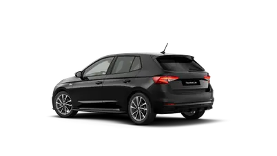 Fabia Monte Carlo