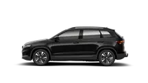 Karoq 130 let