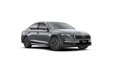 Octavia Top Selection