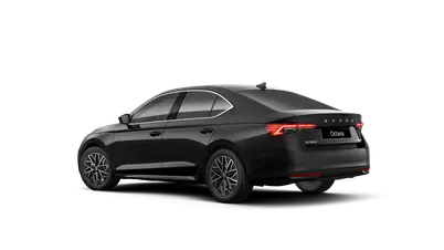 Octavia Top Selection