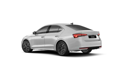 Octavia Top Selection