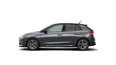 Fabia Monte Carlo
