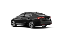 Octavia Exclusive Selection