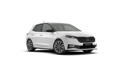 Fabia Monte Carlo