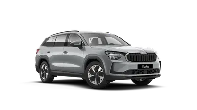 Kodiaq Exclusive Selection