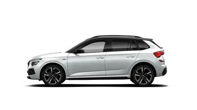 Kamiq Monte Carlo