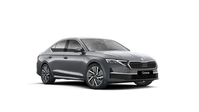 Octavia Exclusive Selection