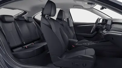 Octavia Exclusive Selection