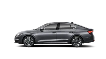 Octavia Exclusive Selection