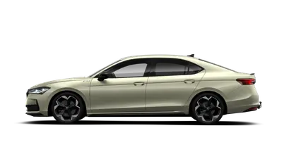 Superb Sportline