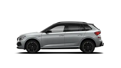 Kamiq Monte Carlo