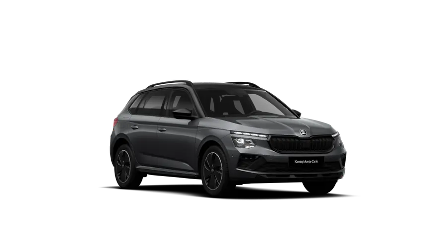 Kamiq Monte Carlo