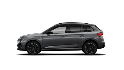 Kamiq Monte Carlo