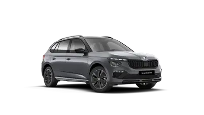 Kamiq Monte Carlo