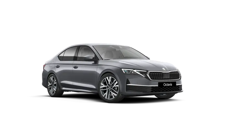 Octavia Dynamic