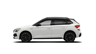 Kamiq Monte Carlo