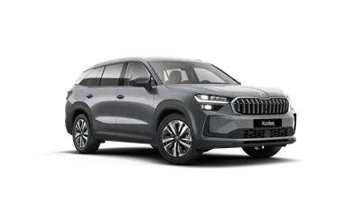 Kodiaq Exclusive Selection