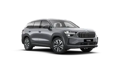 Kodiaq Exclusive Selection
