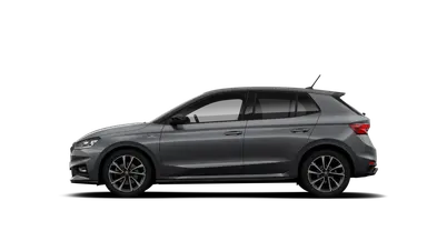 Fabia Monte Carlo