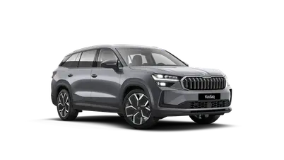 Kodiaq Exclusive Selection
