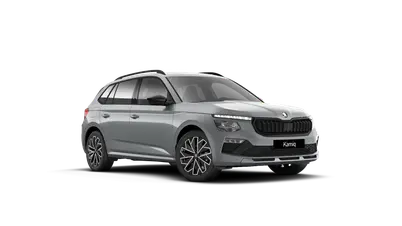 Kamiq Dynamic