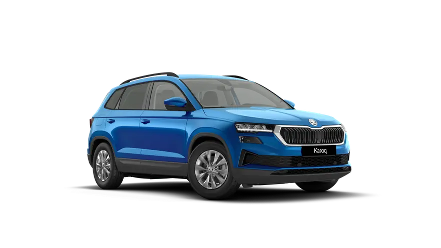 Karoq 130 let