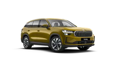 Kodiaq Exclusive Selection
