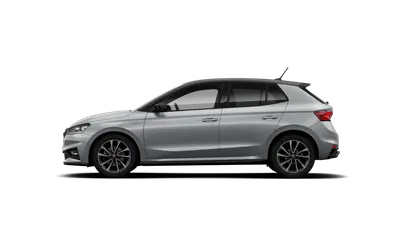 Fabia Monte Carlo