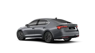 Octavia Top Selection