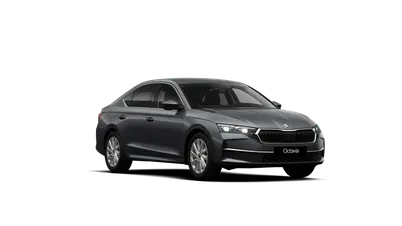 Octavia Top Selection