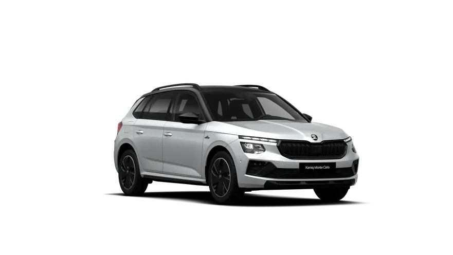Kamiq Monte Carlo