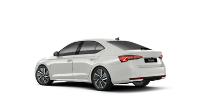 Octavia Dynamic