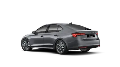 Octavia Dynamic